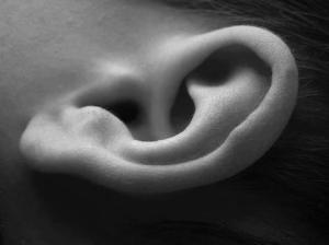 480512_10151052409387797_415095031_n