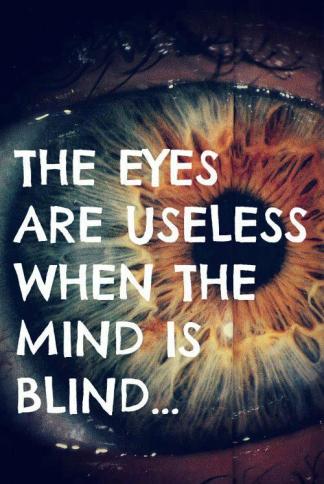 527538_338054672959829_2091416985_n