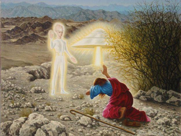 217975_10150876985942798_151469075_n