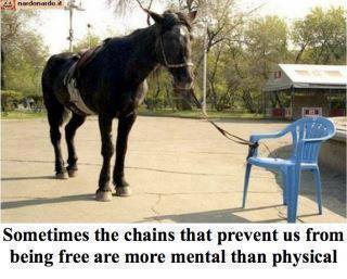 252363_450172405050739_1816882715_n