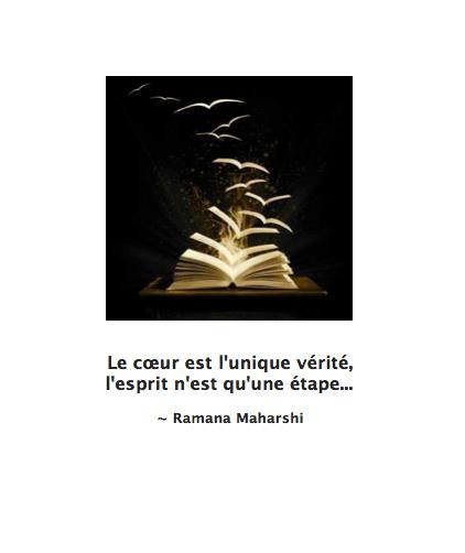 429519_10151196651013198_1265115866_n