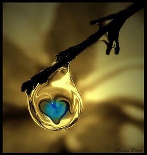 Gabriela Abrego Garrido