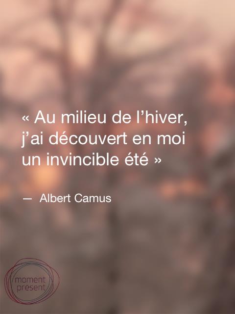 19102_500902406617120_1836629489_n