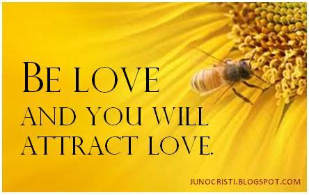 154178_502192053157834_316004463_n