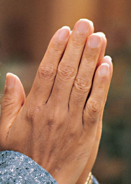 551039_3667067509194_838338565_n