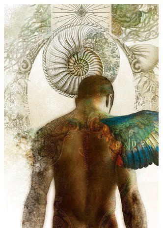 551358_482263801820698_1697038495_n