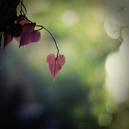 600547_537883586242390_1185922350_n