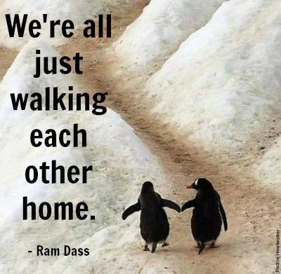 208527_10200330350553918_1958330314_n-1