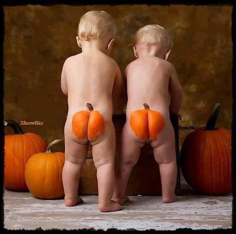 392813_290935314371303_1452016952_n