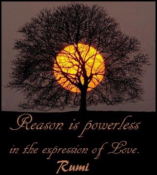 417580_614538881892883_1374536412_n