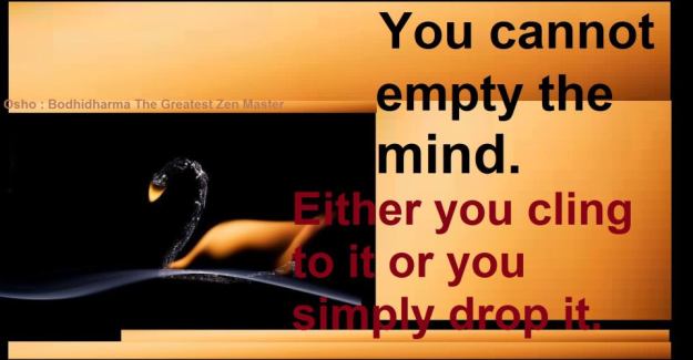 576038_536937049662224_1173270125_n