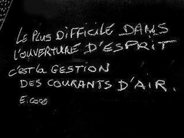 Animalus Sexus Sanctusviaclelia