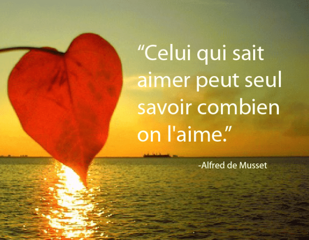 11526_520494538008928_250889766_n