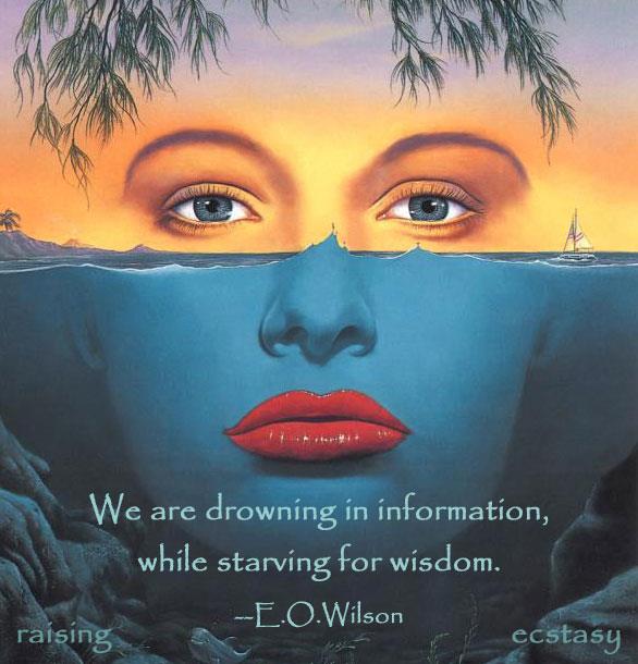 14004_597546386923561_1500990804_n