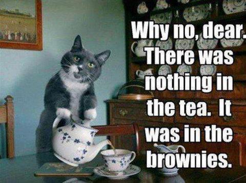 422112_535606253149798_1360531526_n