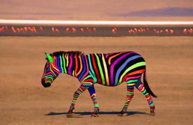 529308_356957031071448_1145602197_n