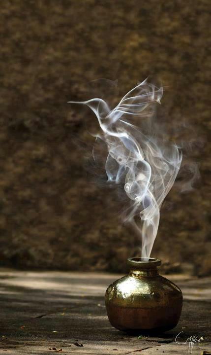 60975_257601554368835_324192555_n