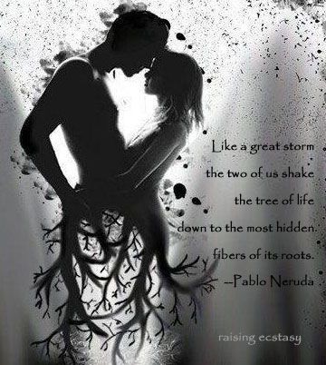 6682_591699790841554_1668713463_n