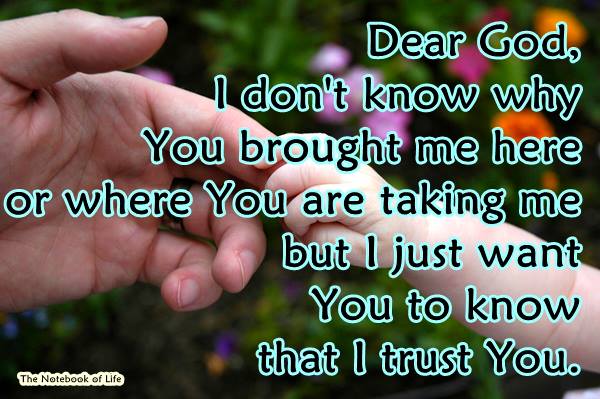 376954_465413566867858_380838428_n