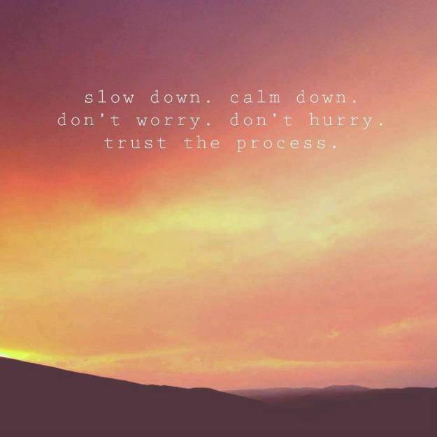 580251_536460226399654_2129923413_n