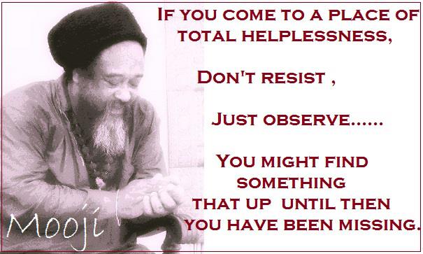 1014308_664620510218053_2062569735_n