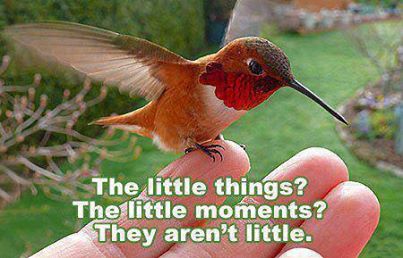 533742_531807853539042_2145655774_n