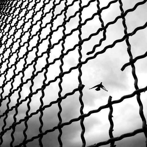 61601_604159472949582_471593400_n