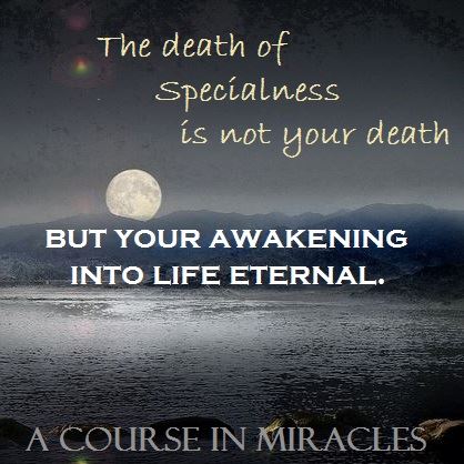 1176176_711332842213486_35365115_n