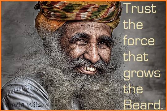 1185641_709486255731478_34008797_n