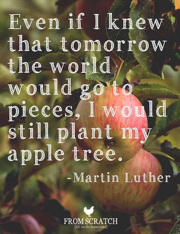 1237680_10151702822972993_2133133620_n