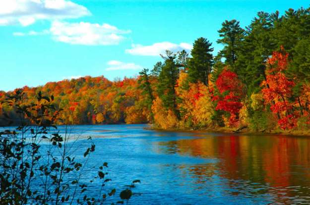 Widescreen_Wallpaper_Autumn_Color_Trees_Fall_River-800x530