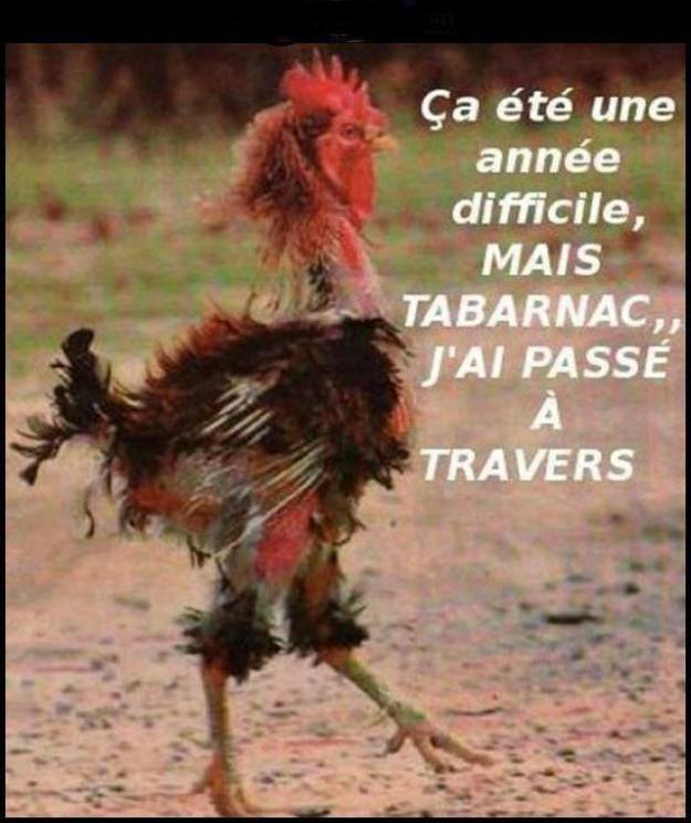 1186296_217266825108726_1347819186_n