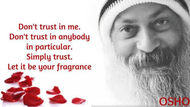 1374183_583428331719852_544810123_n