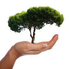 1383670_733881653293613_1803202310_n