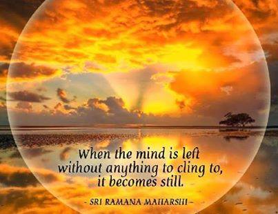 1459892_10152029673512192_465597160_n