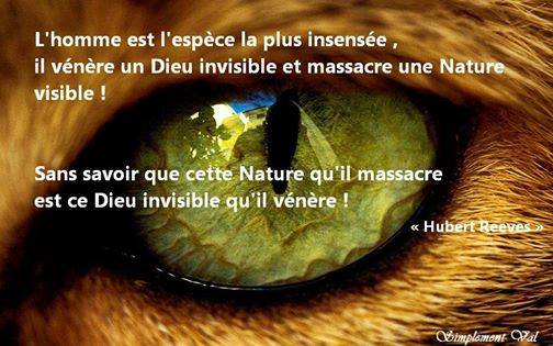 5748_798319896851085_1292876558_n