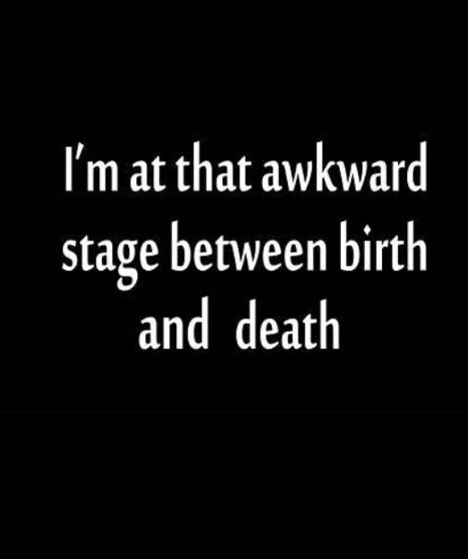 942504_481037012018691_224508310_n