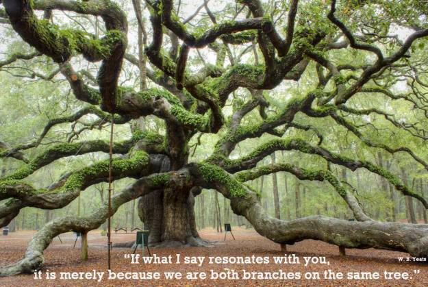 1496080_777726955578424_1478582749_o