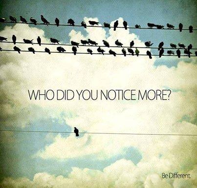 1902885_10152252668603685_1170734433_n