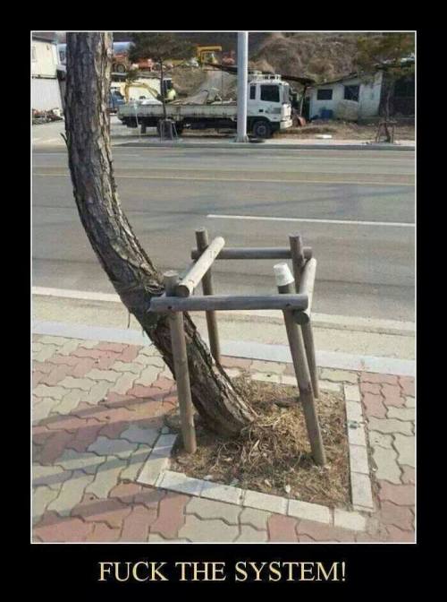 1911872_718308511554428_580703929_n