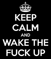 946666_501635209892328_647370918_n