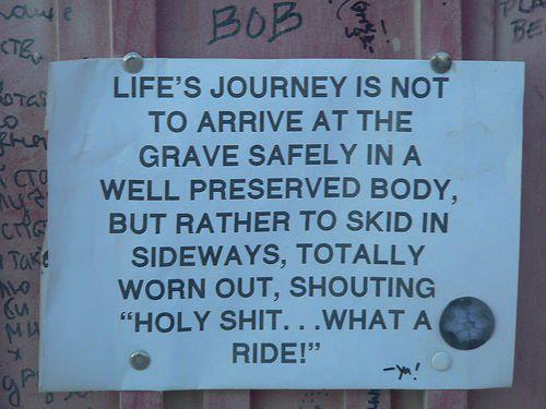 dailytransoformationvialiseravary