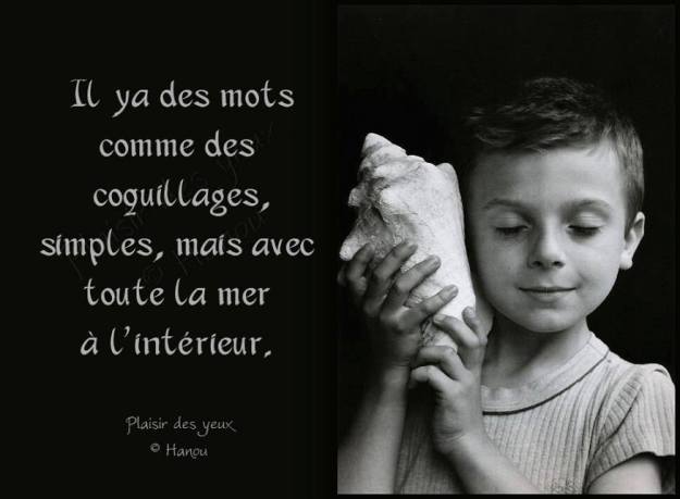 1518022_10201845998257086_375467342_n