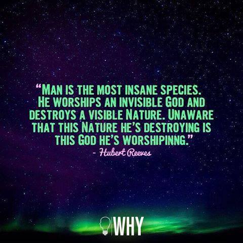 10366109_719111798145968_4186195109605099585_n