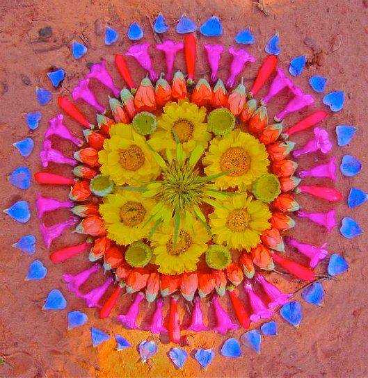 1926767_10152210869436551_3505445288943193578_n