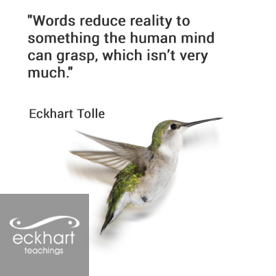 10357441_10152477424606217_5832751689595671482_n