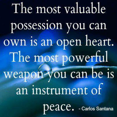 942514_10151376194076851_825259645_n