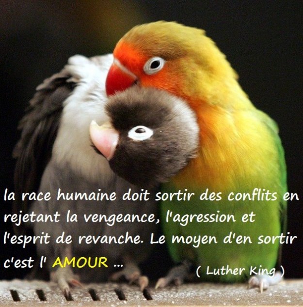 10423763_1449270718675894_5280175820484801859_n