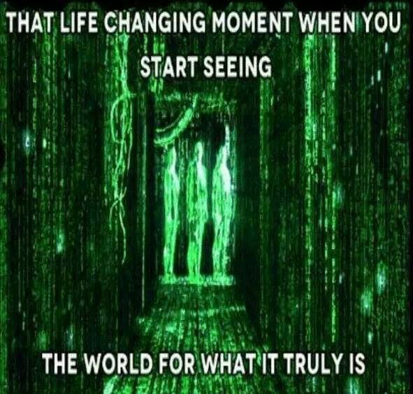 1511223_687494284641053_1306956955_n