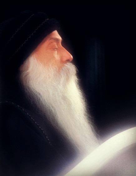 10174840_10203468709911475_4566205646893777998_n